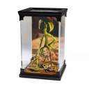Magical Creatures – Bowtruckle