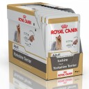 Royal Canin Yorkshire Terrier Adult Våtfôr 12 x 85 g - Hundefôr for Voksne Hunder