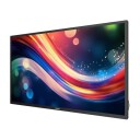 Philips 43" 4000 Serie Q-Line 24/7 PC Skjerm 4K UHD for Intelligent Skilting