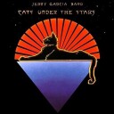 Cats Under The Stars Vinyl