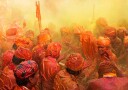 Vibrant Holi Celebration Plakat / 30x40