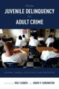 Loeber Rolf From Juvenile Delinquency to Adult Crime