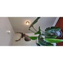 Antidark Easy Mini W75 Vegglampe LED Hvit