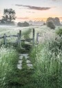 Misty Summer Dawn Plakat Plakat / 70x100cm