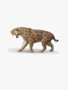 Schleich Smilodon Figur - Sabeltanntiger - 3,8 cm - Figurer