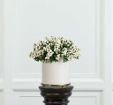 Bærkvist kunstig plante H20