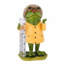 Regnmåler frosk