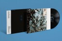 Feel Forever Vinyl