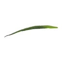 Europalms Aloe leaf EVA green 60cm