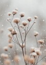 Snow Covered Wildflowers Plakat Plakat / 100x150cm