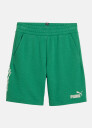 Puma ESS+ MID 90s Shorts TR B