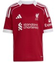 Adidas Performance Lfc H Mini Red 92