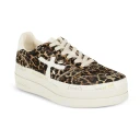 Premiata Dame Sko Brun 35 EU,