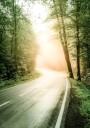 Fog Sunbeam Forest Plakat Plakat / 100x150cm