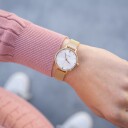 Skagen Klokke Anita SKW2151