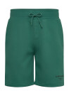 Björn Borg Borg Essential 1 Sweatshorts Green XL