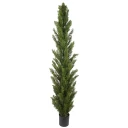 Mr Plant Cypress Tre 150 cm