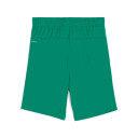 Puma Teamgoal Shorts Jr 05 Sport Green-Puma White 164