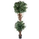 Mr Plant Panda Fiken 180 cm