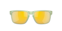Oakley Holbrook Re-Discover Collection