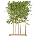 Mr Plant Bambuss 190 cm