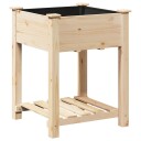 Hage Plantekasse med Hyller 60x60x76 cm Solid Furu