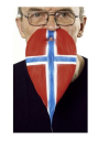 Mustaches Skjegg i flaggfarge Norge