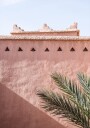 Palm and pink building Plakat Plakat / 100x150cm