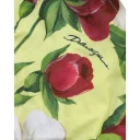 Dolce & Gabbana Dame Svømmetøy Flerfarget S,
