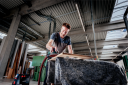 Metabo Eksentersliper SXE 150-2.5 BL