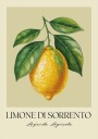 Andreas Magnusson Limone Di Sorrento Plakat Plakat / 100x150cm 