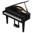 Roland Gp 6 Pe Mini Grand