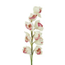 Europalms Cymbidium Spray, White-Pink 90cm