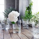 Hadeland Glassverk Finn Vase 23 cm