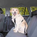Bilsele Og Sikkerhetsbelte Til Hund I Bil