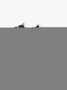Tretorn Tero Insulated Vanntette Mid Sneakers Brun 24