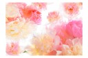 Fototapet Pastel Peonies 400x280 - Artgeist sp. z o. o.