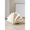 VASE CLAM SHELL