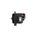 HC Cargo F 032 116 079 Dynamo
