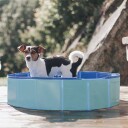 Companion Pool Hundebasseng (3 Størrelser)