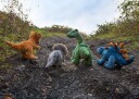 Dinosaur Kosedyr | Keeleco