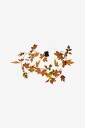 Star Trading   Snor Light Autumn 180cm   Orange