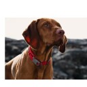 Hurtta Weekend Warrior Collar Ergonomisk Halsbånd Eco XS Raven