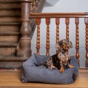 Fantail Hundeseng Snug Mellow Smoke Gray Str S: 70 X 55 cm