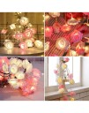Northix Romantisk lyssløyfe - roser - 20 LED-lys
