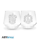 Harry Potter Glass 2-pk Slytherin & Gryffindor