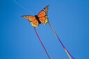 Drage Sommerfugl 52 cm