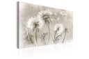 Tavle Dandelions Pencil Artwork 120X80 Artgeist sp. z o. o.