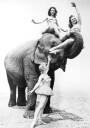 Women Riding Elephant Plakat Plakat / 30x40cm