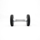Titan Life PRO Dumbbell PU, Gummimanualer Vekt 2 kg
